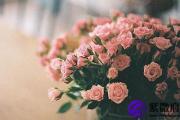 想防小三教你丈夫的桃花运怎么破解