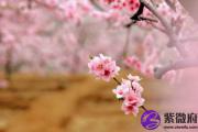 已婚人如何避免桃花运太多的情况
