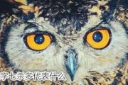 八字七杀多代表什么