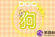 2019年哪个生肖喜添丁 有添丁之喜的生肖