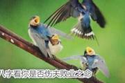八字看你是否伤夫败业之命