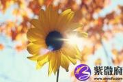壬戌年是哪几年？壬戌年出生的人命好吗？