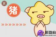 八字生来富贵命的生肖有哪些