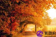 哪些日子有辛巳时？辛巳时出生的人命如何？