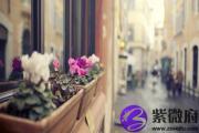 壬申年是哪几年？壬申年出生的人命如何？