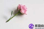 丁亥日出生的人命运怎么样？
