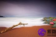 辛未日出生的人命好不好？辛未日出生是什么性格？