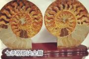 七杀格歌诀全篇 - 简单七杀歌诀解读