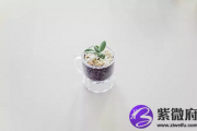 出生在庚子日的人命运如何？