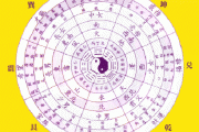 出生在2019的宝宝什么样的八字会大富大贵