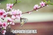 七杀与坐支的关系 - 七杀与坐支十神的关系