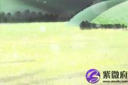平地木命几月出生的好 平地木命解析