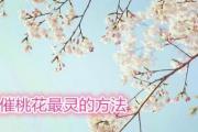 催桃花最灵的方法 - 怎样招桃花运