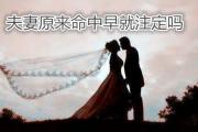 夫妻原来命中早就注定吗 - 夫妻配对生肖口诀