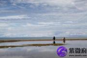 生肖牛和猪八字不合严重吗？