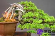 天上火命在2019年开年有什么需要注意的吗