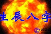 杨柳木命的人最适合什么样的伴侣