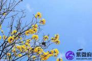 免费生辰八字算桃花运的好坏