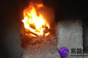 炉中火命能养鱼吗 适合养什么鱼