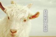羊刃格是什么意思 - 羊刃的查法