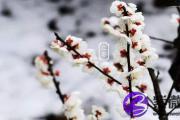 婚姻怎么看八字合不合？