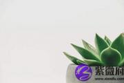 八字不合真的相克吗？八字相合是什么样子的？
