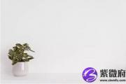 八字不合会影响运势吗？生肖不合不建议结婚？
