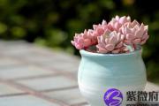 两个人八字不合通常会是哪些原因？