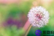 为什么有些人八字不合？如何看八字合不合？