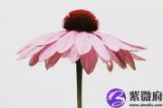 八字不合的表现具体表现在哪里？