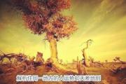 解析住同一地方运势不同 - 住一起运势却差距大