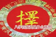 &*&*&四废日是什么意思 - &*&*&四废日的意思和查法