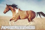 &*&*&中的驿马星是什么意思 - &*&*&中驿马星的含义