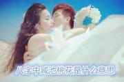 八字中咸池桃花是什么意思 - 八字咸池桃花分类