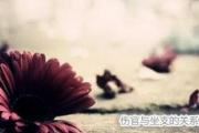 伤官与坐支的关系 - 伤官在八字中的含义