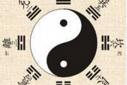 1988年五行属什么