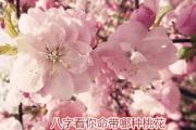 八字看你命带哪种桃花 - 命理中桃花的类型