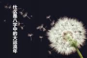 什么是八字中的大运流年 - 大运与八字的关系