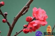 八字看家庭的相关信息