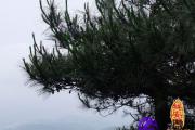 三才配置吉凶表