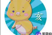 亥时属什么生肖