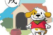 戌时属什么生肖