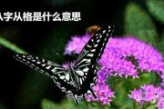 八字从格是什么意思 - 八字从格条件