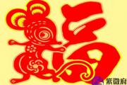 子时是什么生肖子时出生人命运