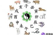 戌时(19时至21时)出生的人好吗