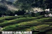 深度解析七杀格六神旺度 - 什么是六神旺度