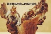 解析桑拓木命人的五行缺失 - 桑拓木命什么意思