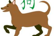 戌时生人命运