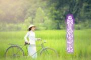 八字月令格局口诀 - 八字比劫月令格局