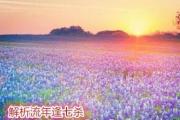 解析流年逢七杀 - 七杀逢各大运流年时的吉凶